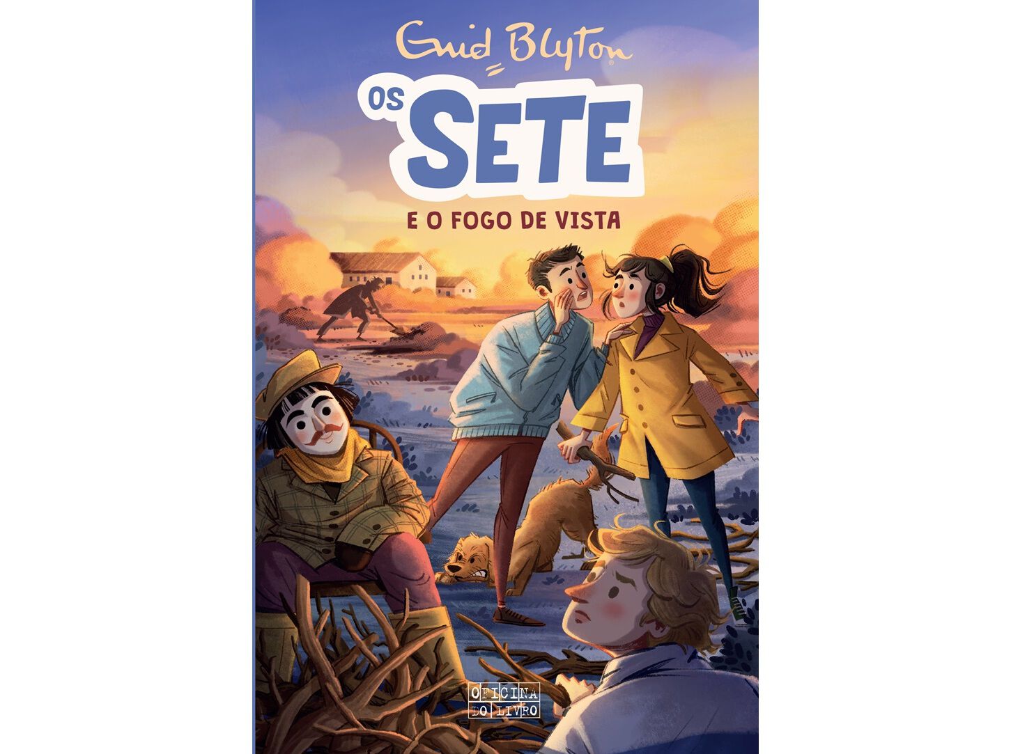 LIVRO OS SETE E O FOGO DE VISTA (NR. 11) DE ENID BLYTON