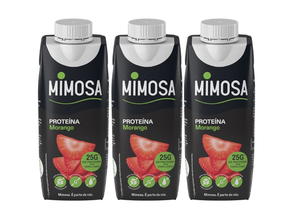 LEITE SEM LACTOSE MIMOSA MORANGO MAIS PROTE&Iacute;NA 3X250ML