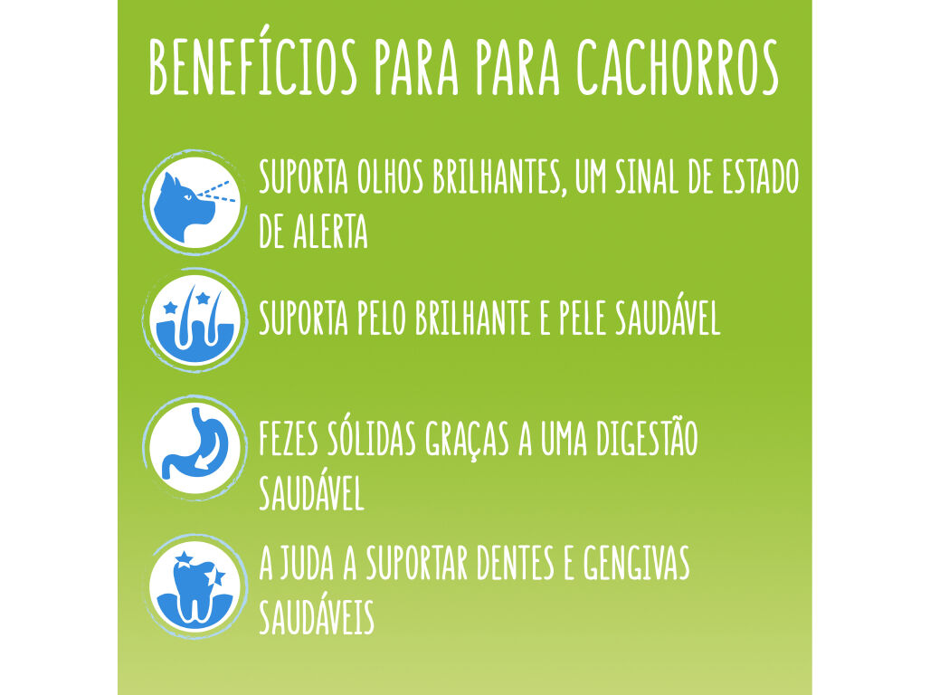 RA&Ccedil;&Atilde;O PARA C&Atilde;O FRISKIES J&Uacute;NIOR 14KG image number 1