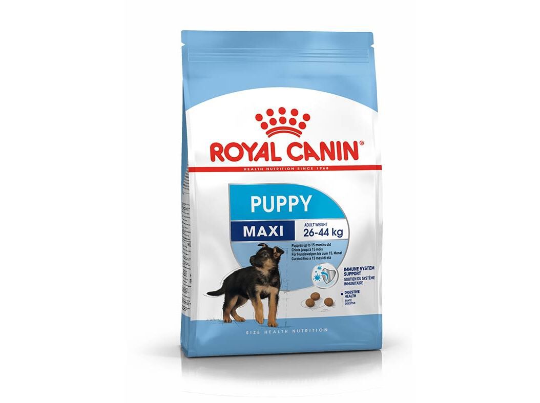 RA&Ccedil;&Atilde;O C&Atilde;O ROYAL CANIN MAXI JUNIOR 15KG image number 0