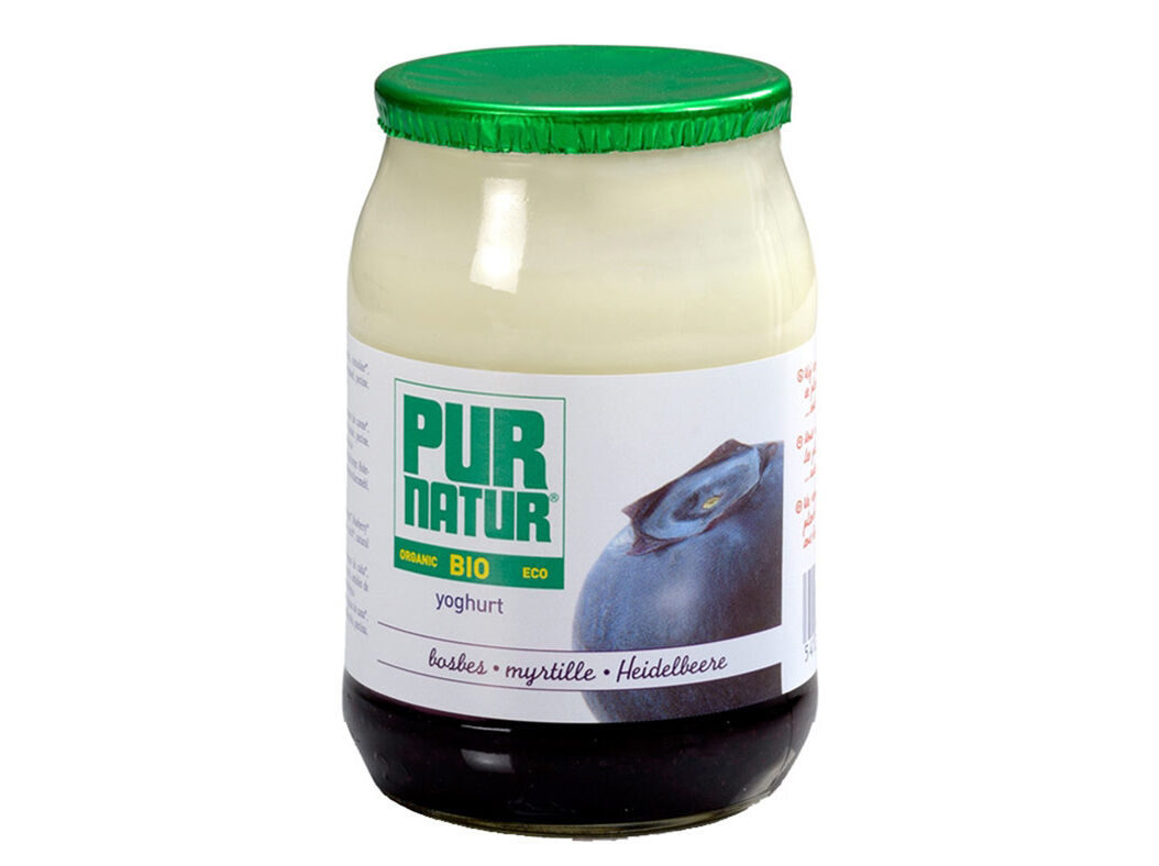IOGURTE PUR NATUR BIOL&Oacute;GICO PEDACOS MIRTILO 150G