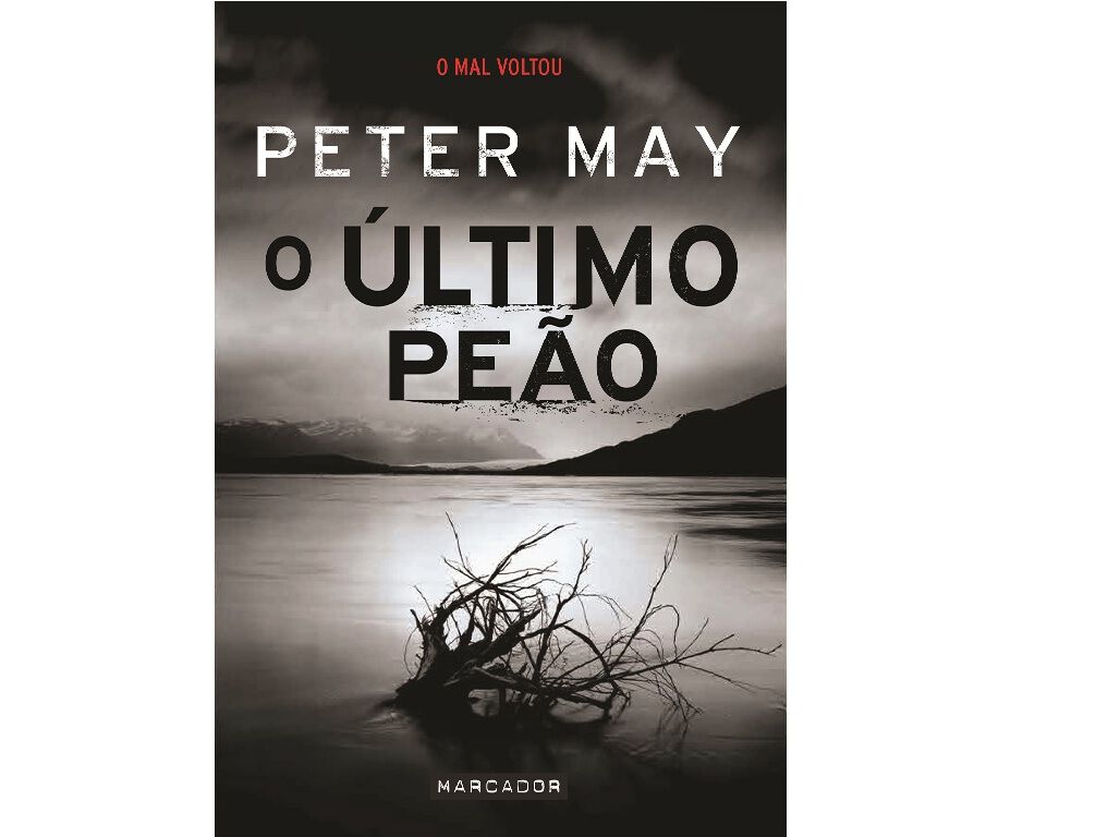 LIVRO O &Uacute;LTIMO PE&Atilde;O DE PETER MAY image number 1