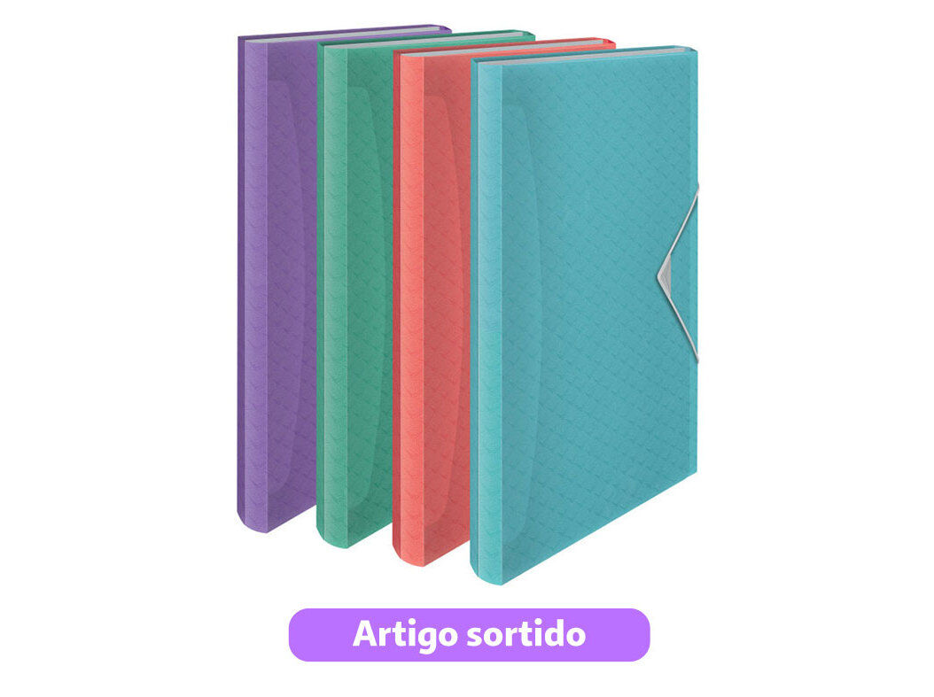 PASTA ACORDE&Atilde;O ESSELTE COLOUR'BREEZE 26X2.5X33CM CORES SORTIDAS