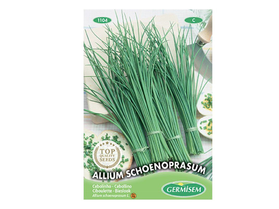SEMENTES SOMELITE CEBOLINHO FINO image number 0