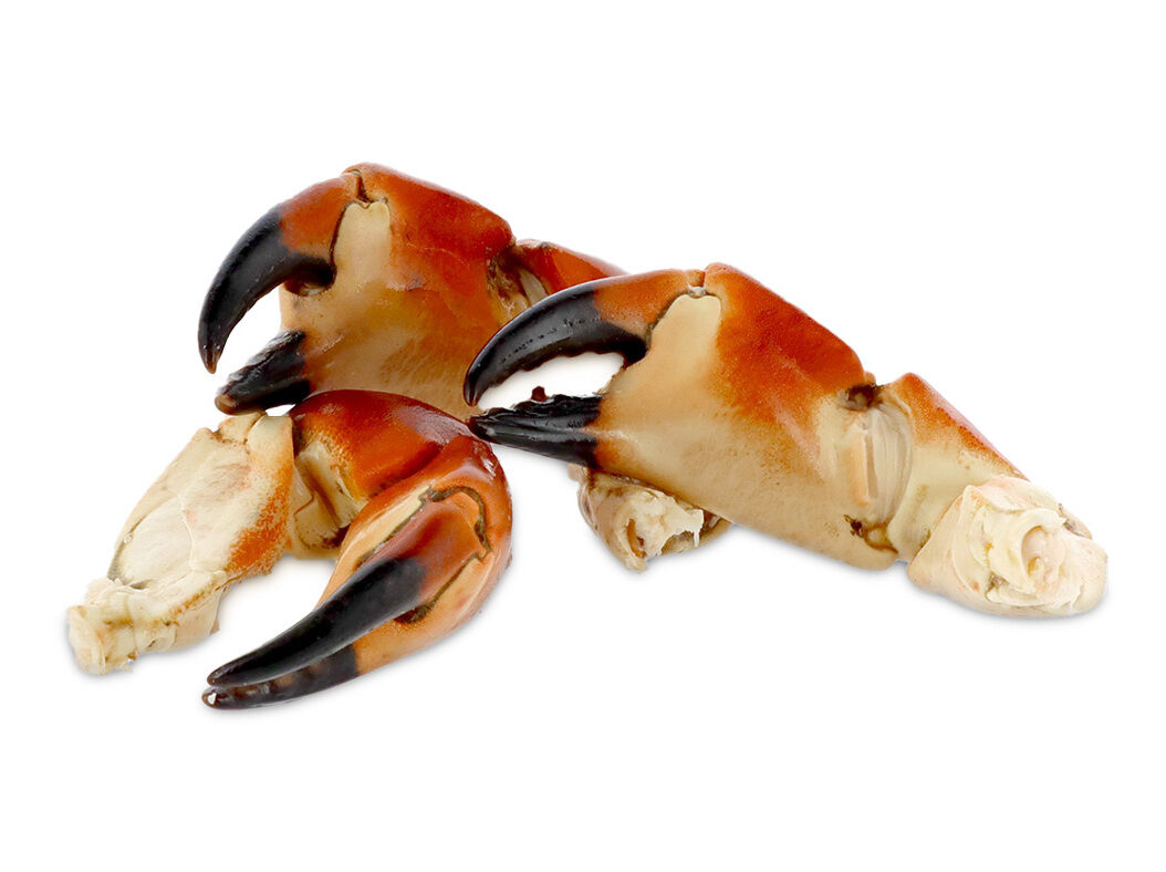 BOCAS SAPATEIRA PR&Eacute;-COZIDAS CONGELADAS KG