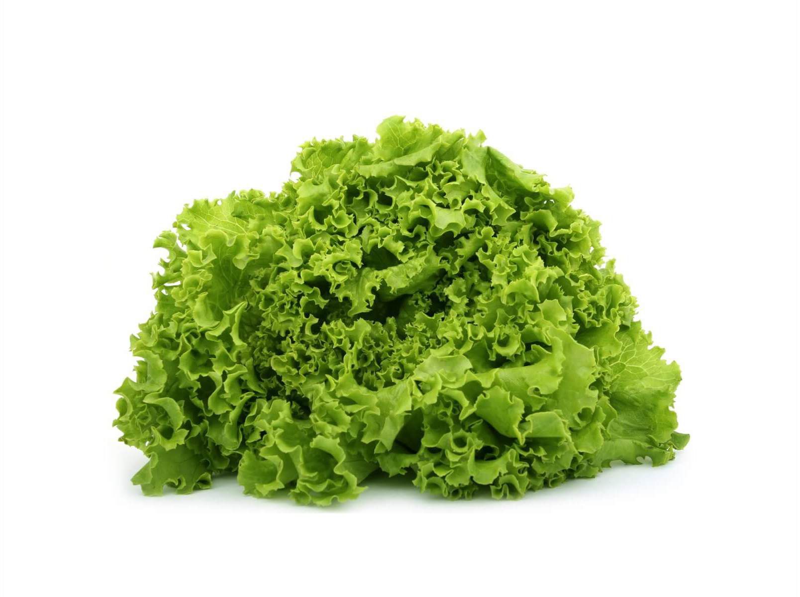 ALFACE FRISADA BIO 200 G