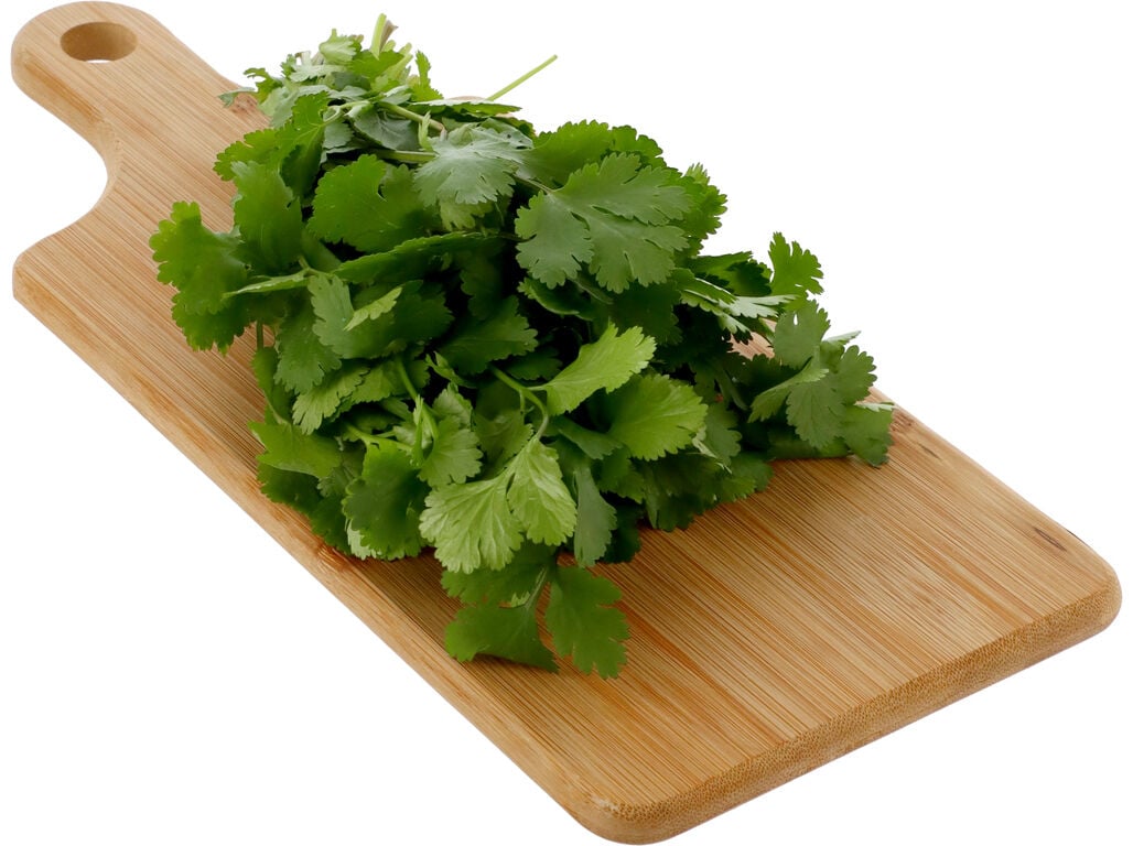 COENTROS FRESCOS 50G