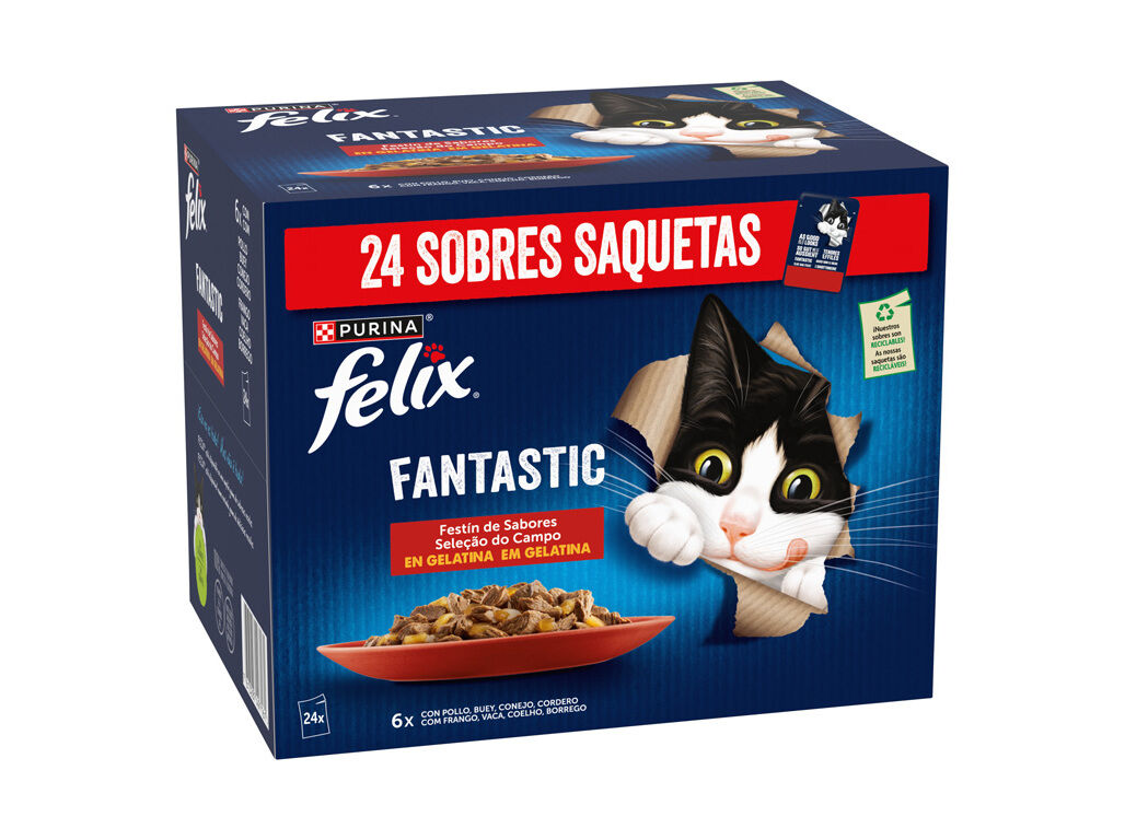 COMIDA H&Uacute;MIDA GATO FELIX FANTASTIC CARNE 24X85G image number 1
