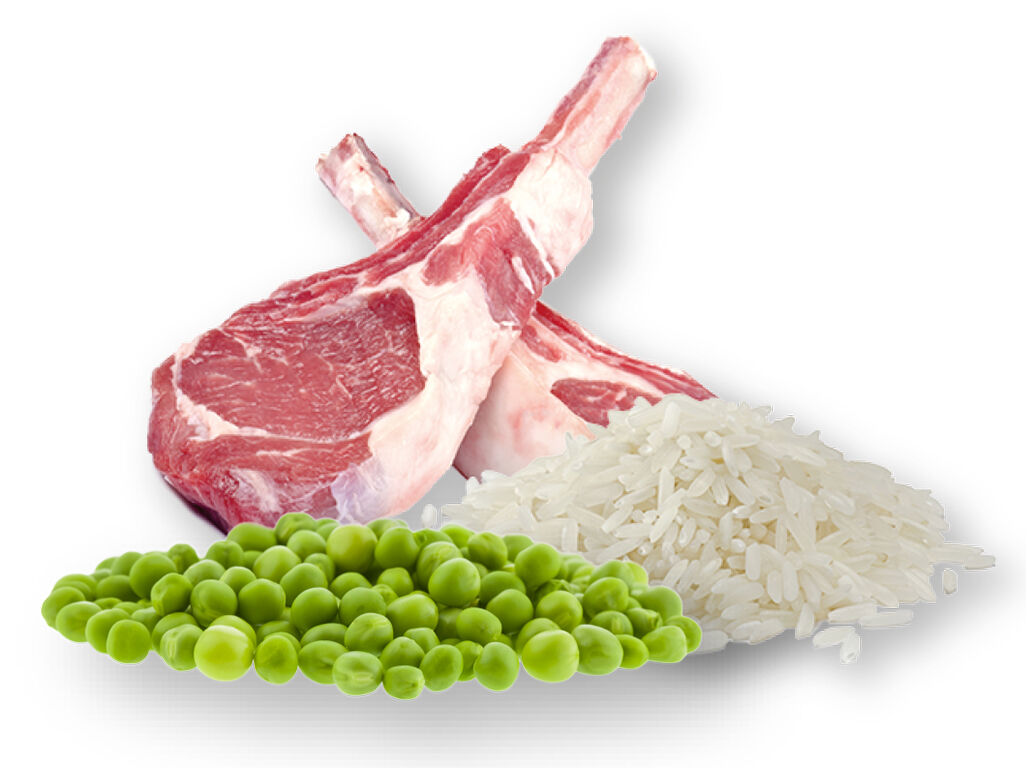 SNACKS C&Atilde;O PETFIELD BORREGO 100G image number 1