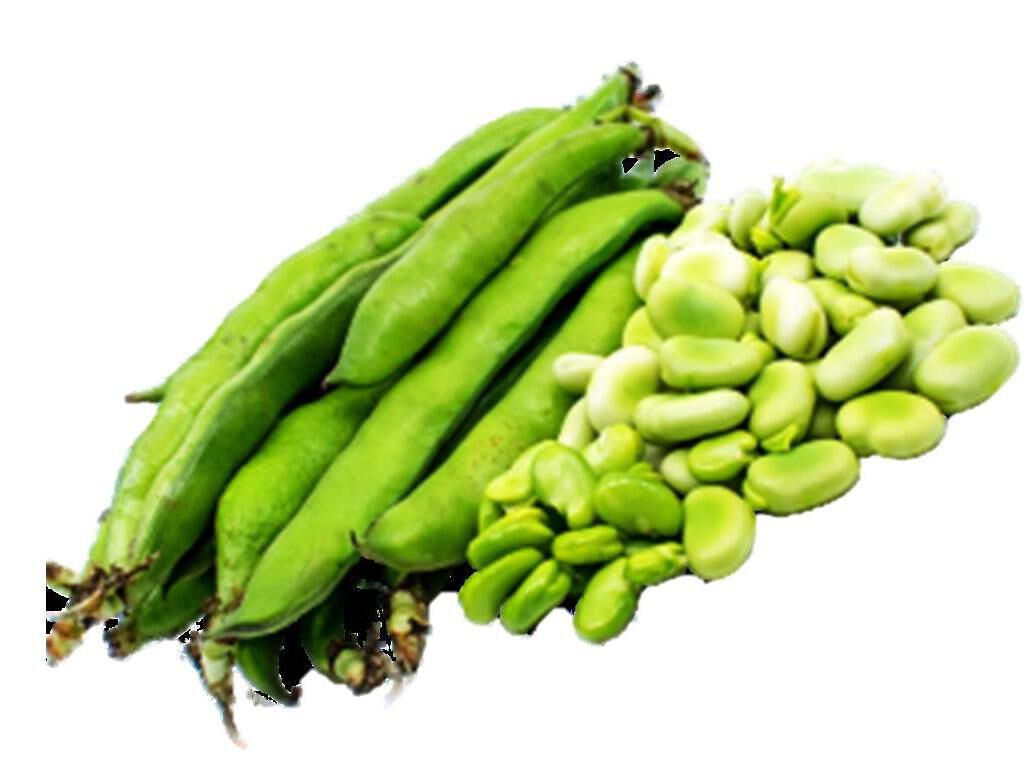 FAVAS QUINTA DAS M&Eacute;LIAS BIO KG image number 0