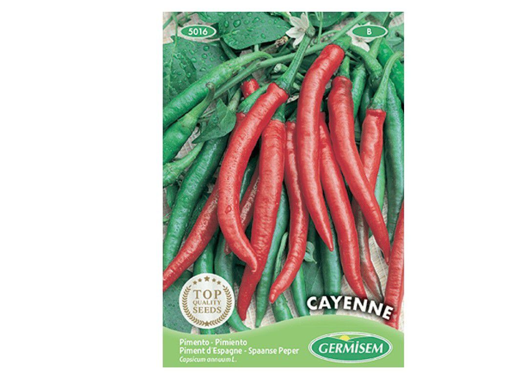 SEMENTES SOMELITE PIMENTA CAYENNE image number 0