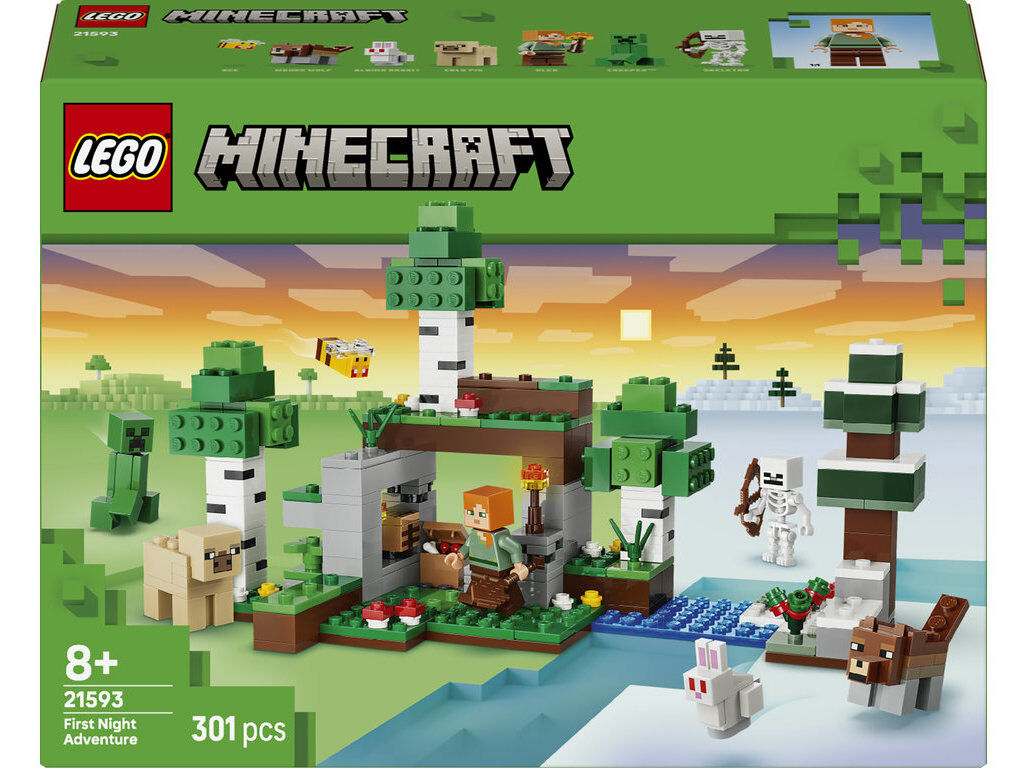 AVENTURA DA PRIMEIRA NOITE LEGO MINECRAFT 21593