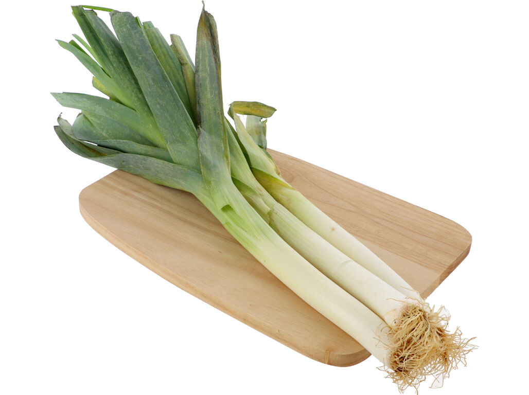 ALHO FRANC&Ecirc;S KG