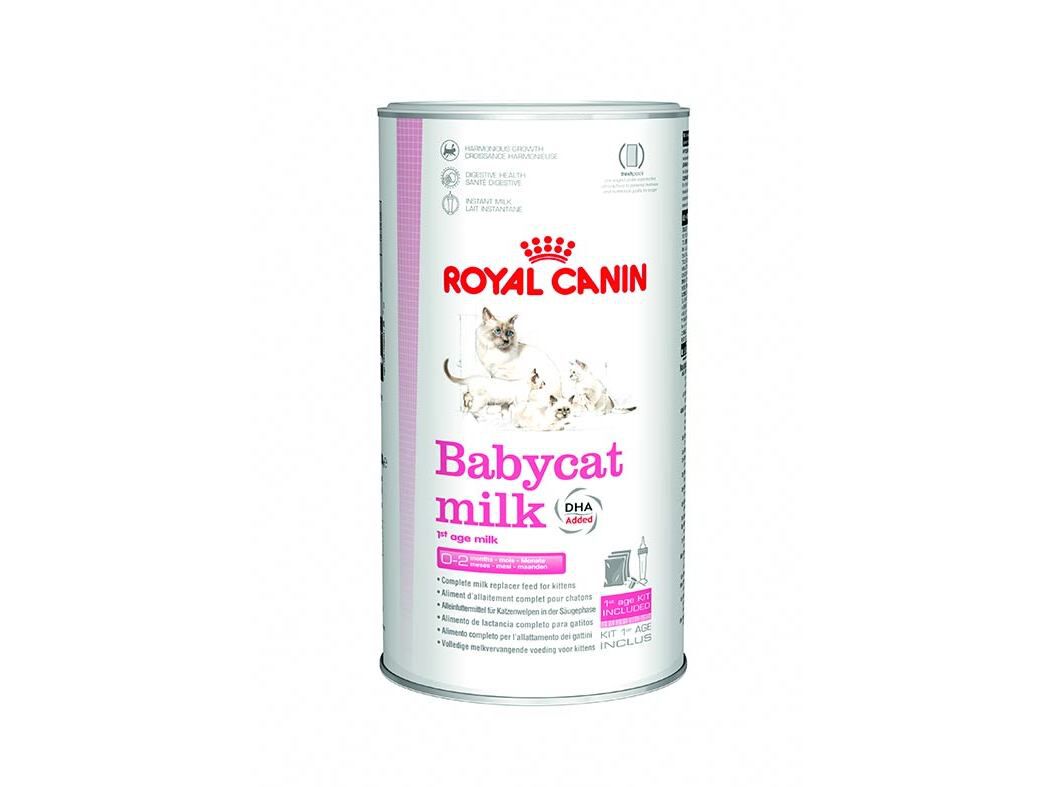 LEITE PARA GATOS ROYAL CANIN 300 GR image number 0