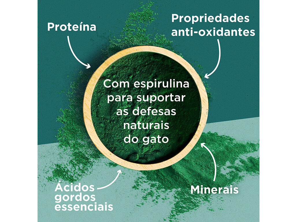 RA&Ccedil;&Atilde;O PARA GATO PURINA ONE DUAL NATURE ESTERILIZADO SALM&Atilde;O 750G image number 4