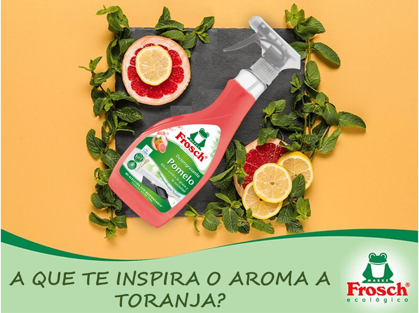 LIMPEZA COZINHA FROSCH DESENGORDURANTE TORANJA 500ML image number 2