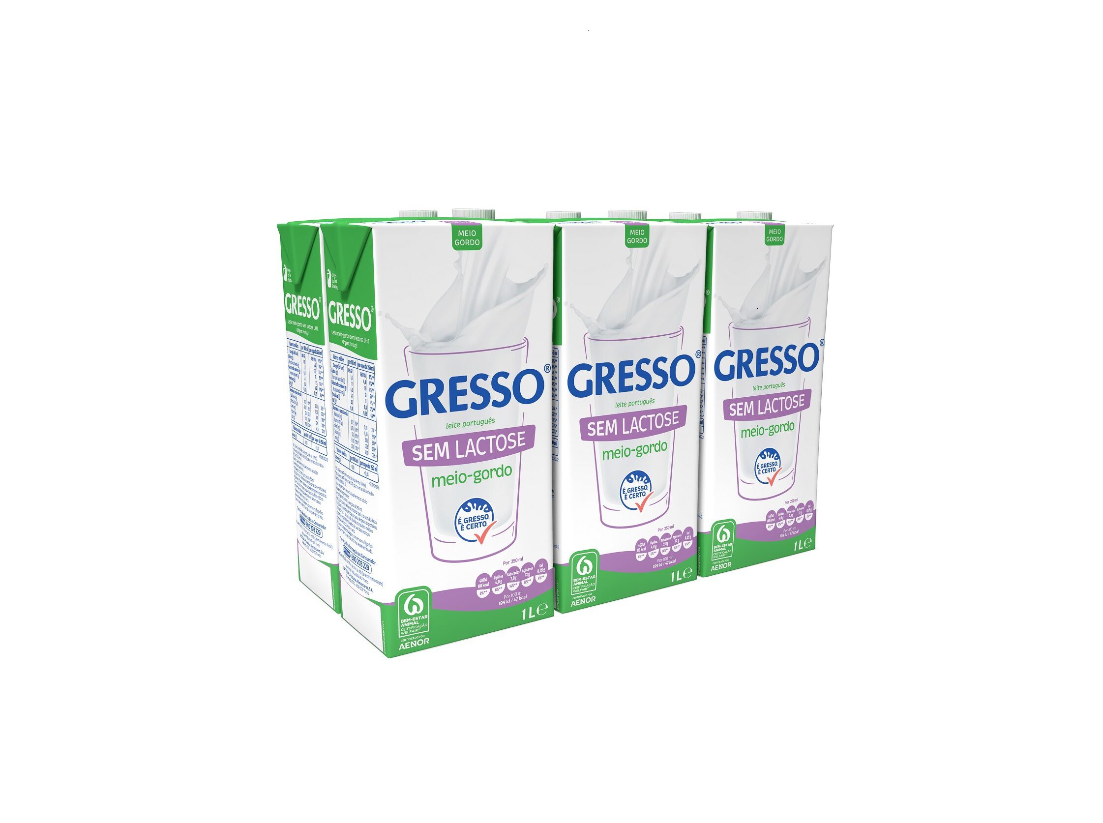 LEITE S/LACTOSE GRESSO M/GORDO 6X1L
