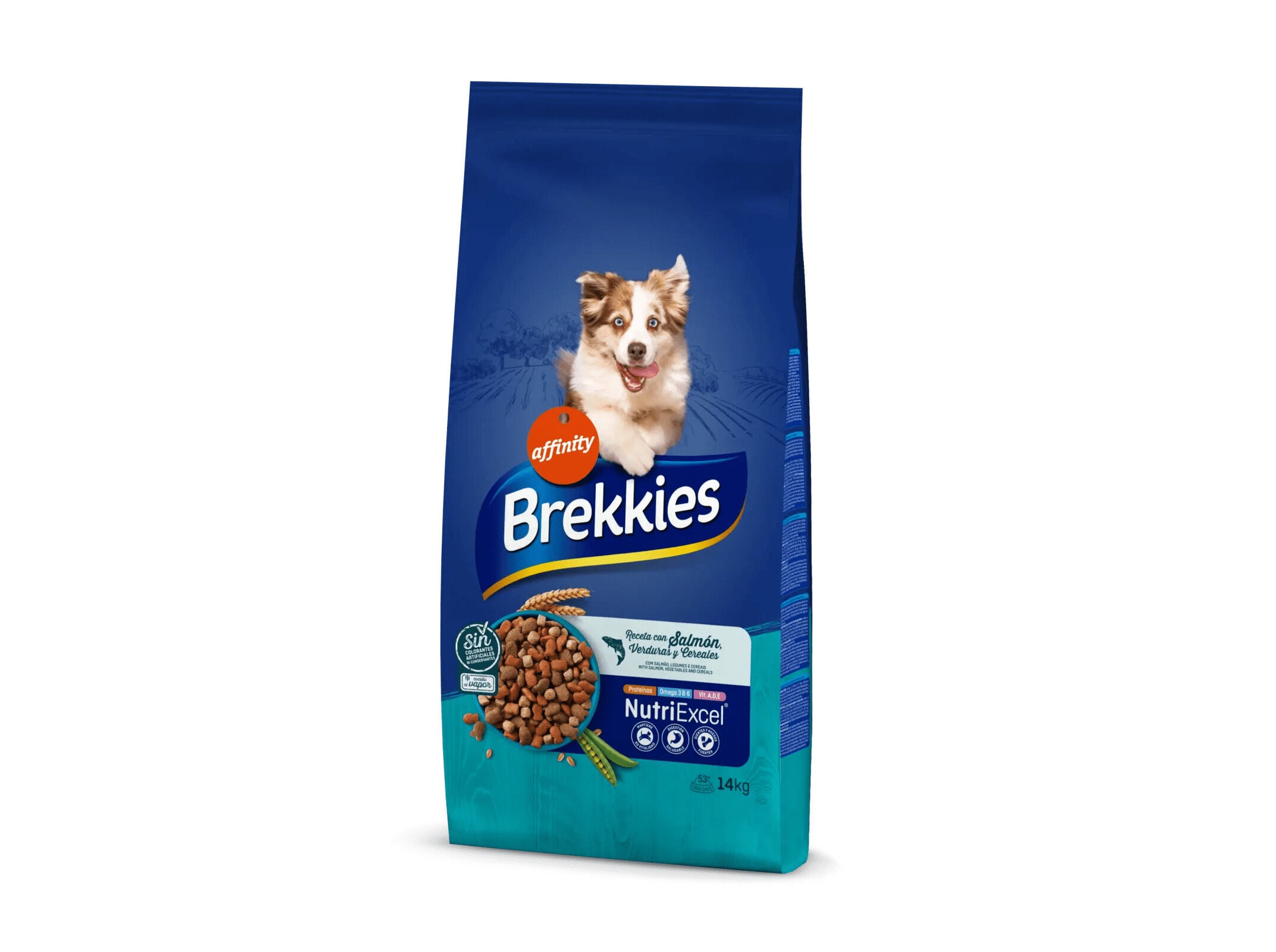 RA&Ccedil;&Atilde;O PARA C&Atilde;O BREKKIES COM SALM&Atilde;O 14KG