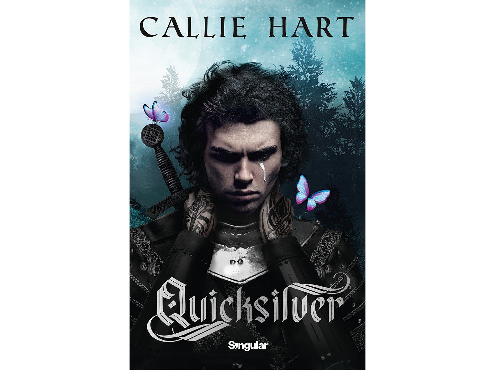 LIVRO QUICKSILVER DE CALLIE HART image number 1