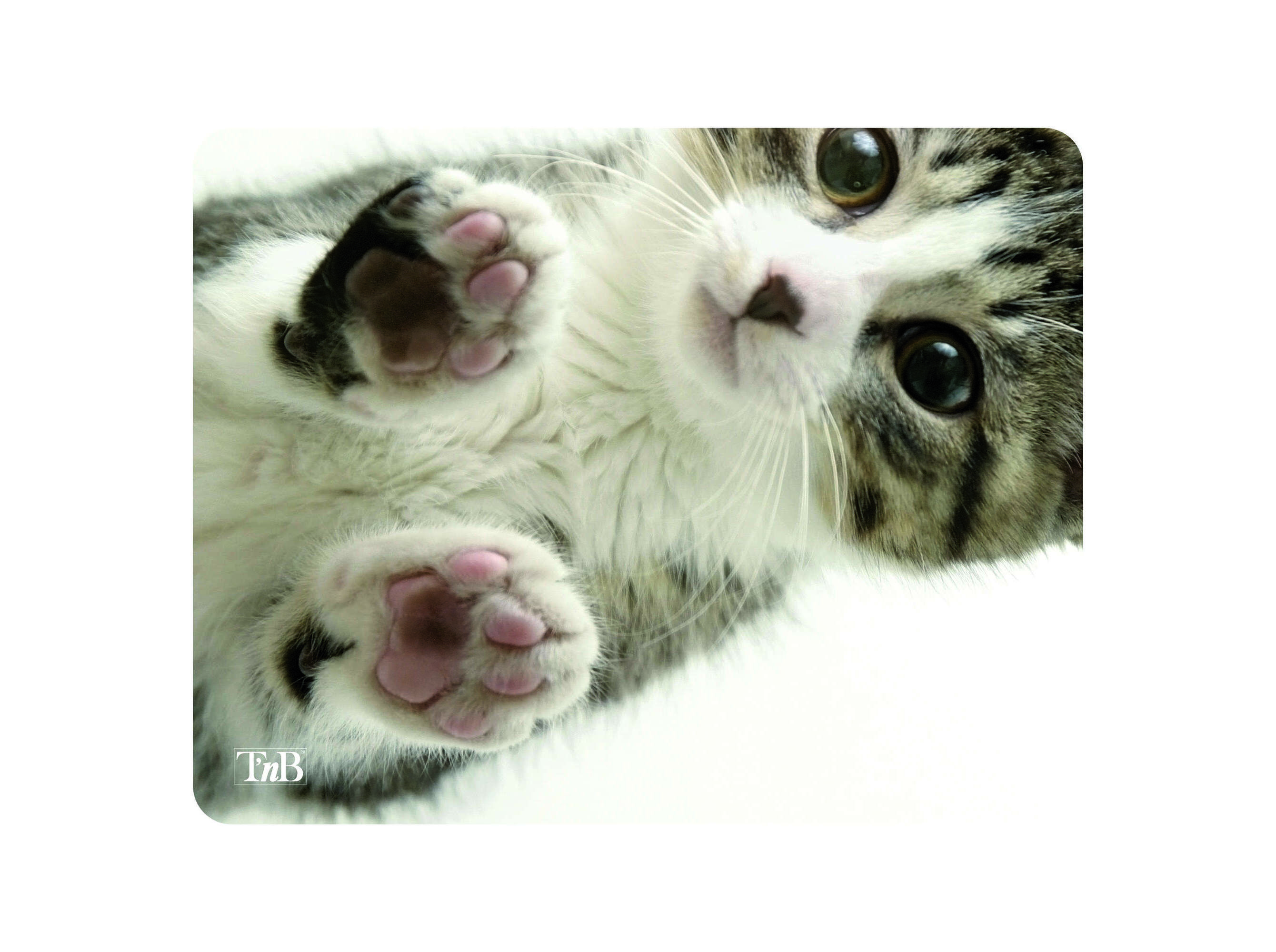 TAPETE RATO TNB TSKITTY 22X18