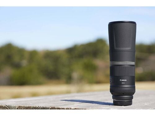 OBJECTIVA CANON RF 800 MM F:11 IS STM