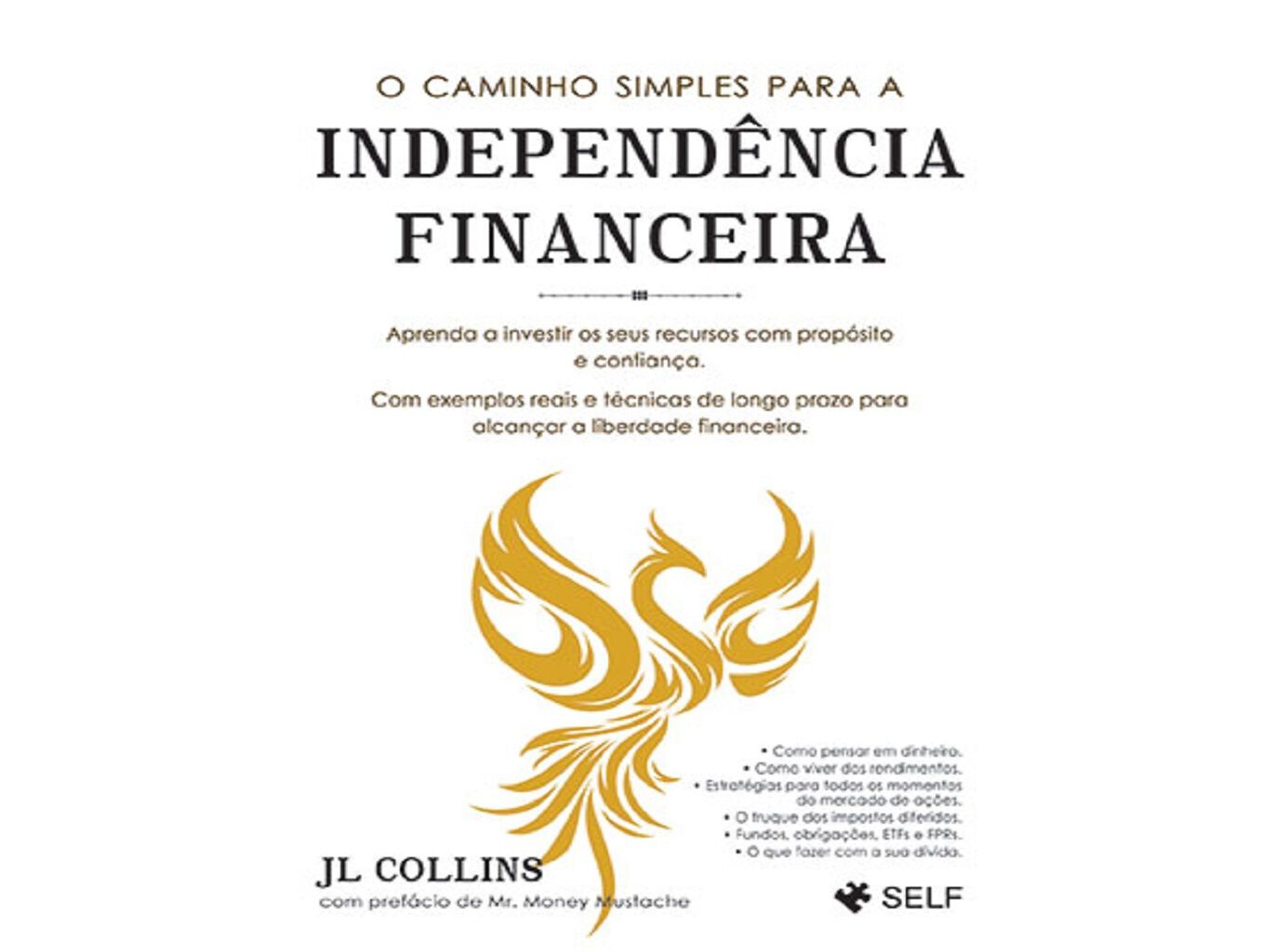 LIVRO O CAMINHO SIMPLES PARA A INDEPEND&Ecirc;NCIA FINANCEIRA DE JL COLLINS image number 0