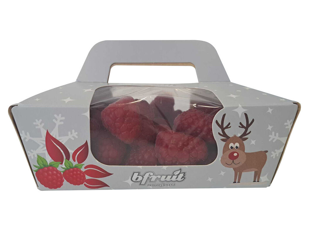 FRAMBOESA NATAL 250 G