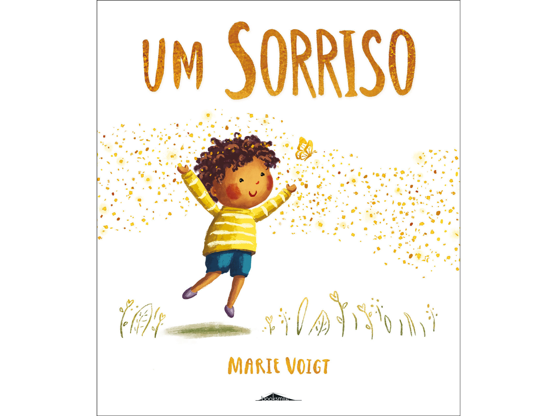 LIVRO UM SORRISO DE MARIE VOIGT image number 0