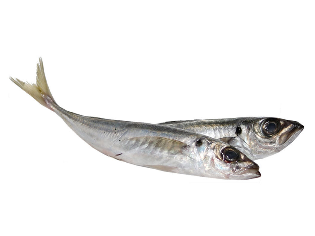 CARAPAU PEQUENO FRESCO KG image number 0