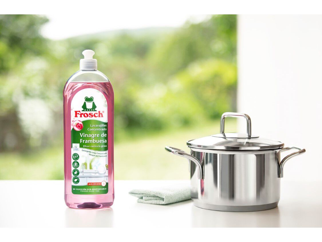 DETERGENTE LOI&Ccedil;A MANUAL ECOLABEL FRAMBOESA FROSCH 750ML image number 2