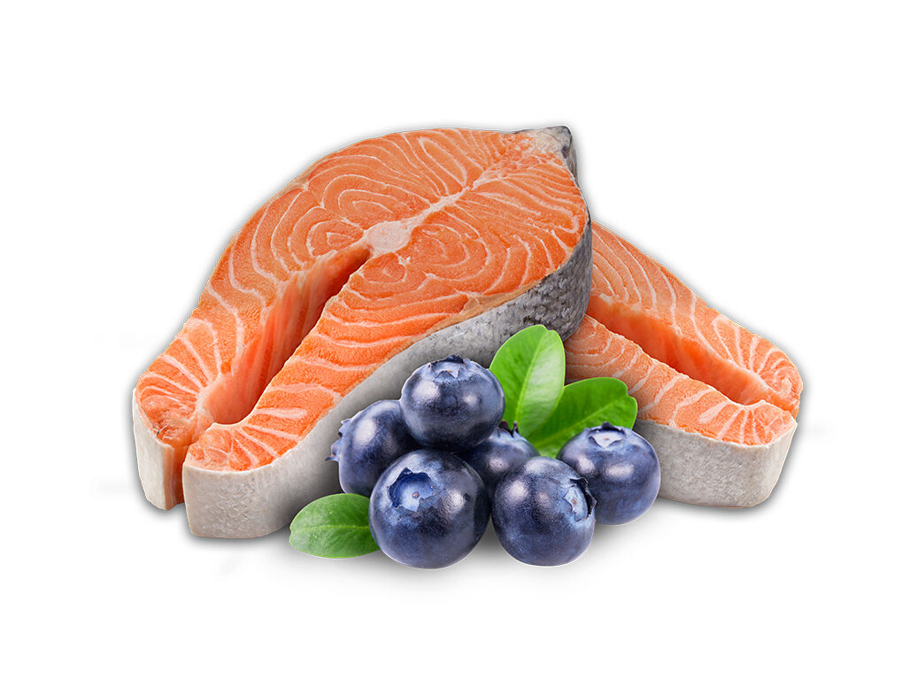 COMIDA H&Uacute;MIDA C&Atilde;O PETFIELD SALM&Atilde;O E MIRTILO 400G image number 2