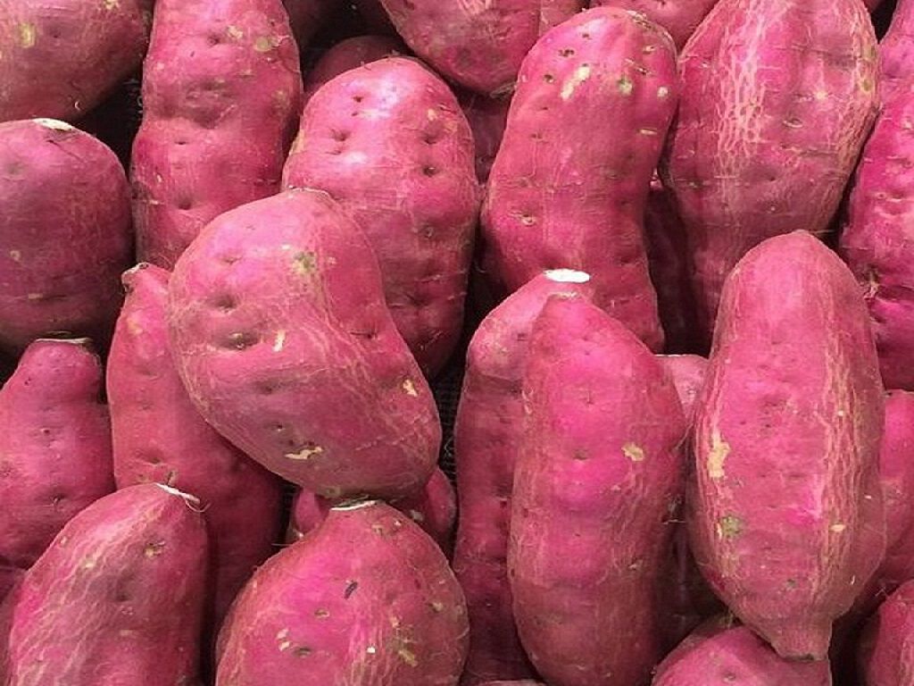 BATATA DOCE BIOVEG BIO KG