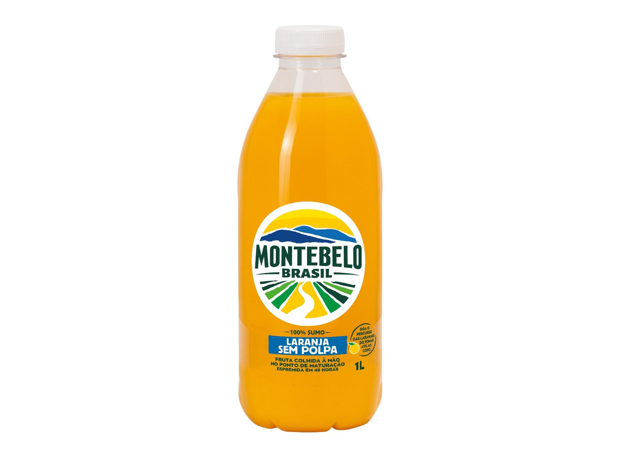 SUMO MONTEBELO BRASIL 100% LARANJA S POLPA 1L (SDR) image number 2