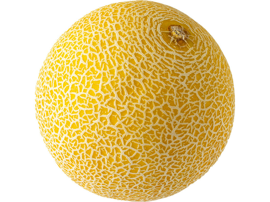 MELOA GALIA AUCHAN KG