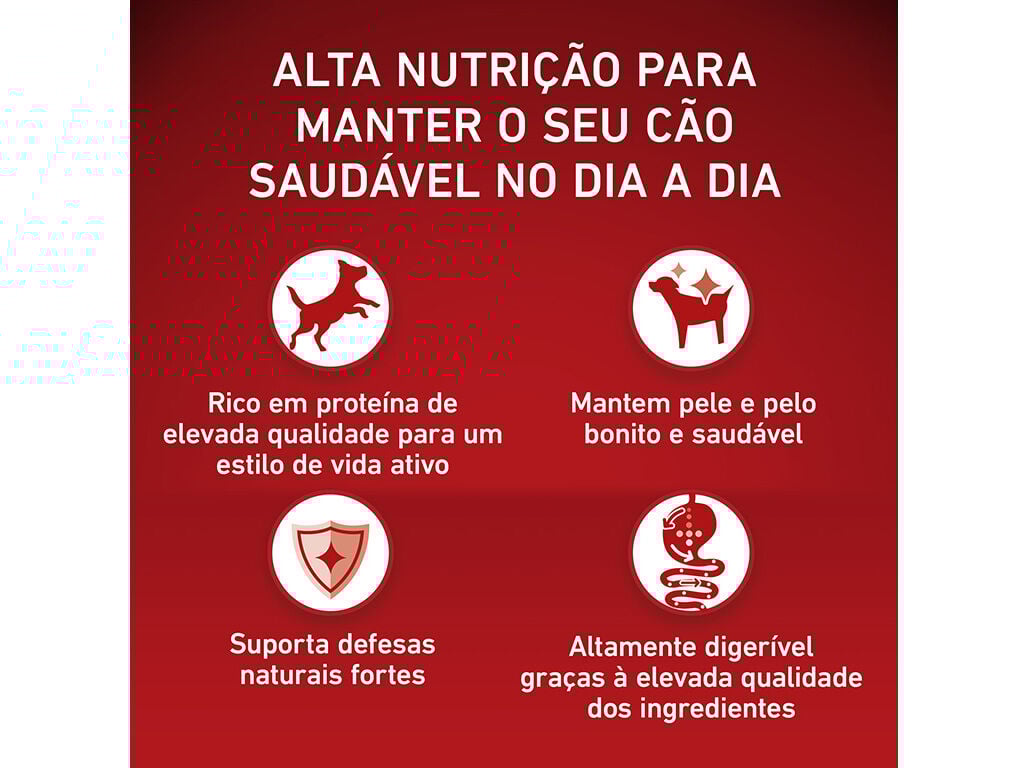 RA&Ccedil;&Atilde;O PARA C&Atilde;O PURINA ONE ADULTO COM VACA 2.5KG image number 4