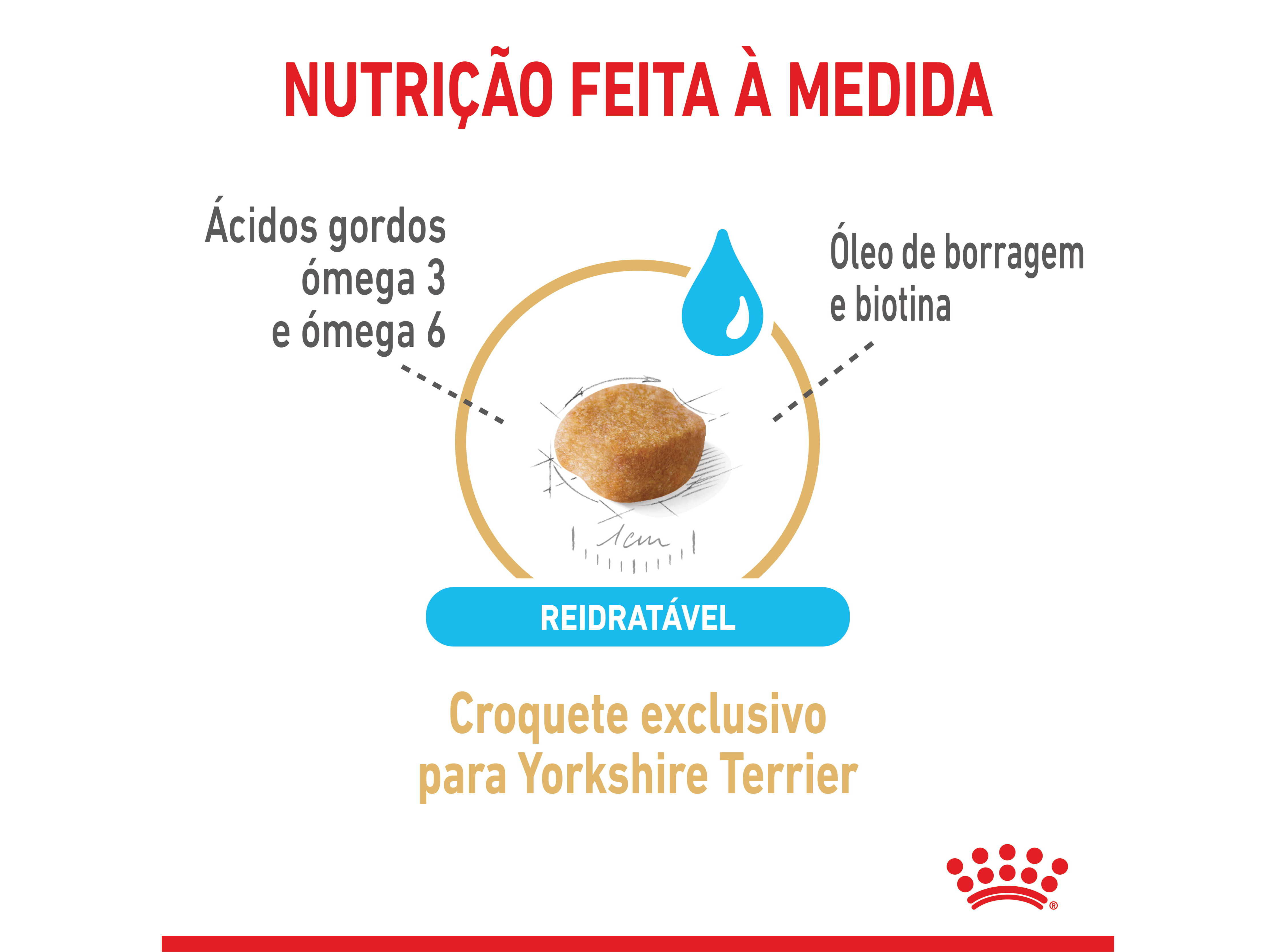 RA&Ccedil;&Atilde;O C&Atilde;O ROYAL CANIN MINI YORKSHIRE 8+ 1.5KG image number 2