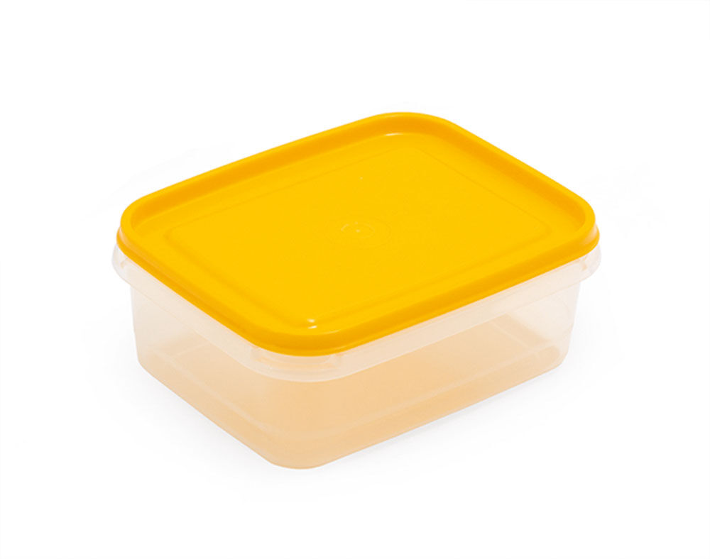 CAIXA HERM&Eacute;TICA RECTANGULAR PEQUENA CANASTA 0.85L 16.5X13X5.5CM image number 0