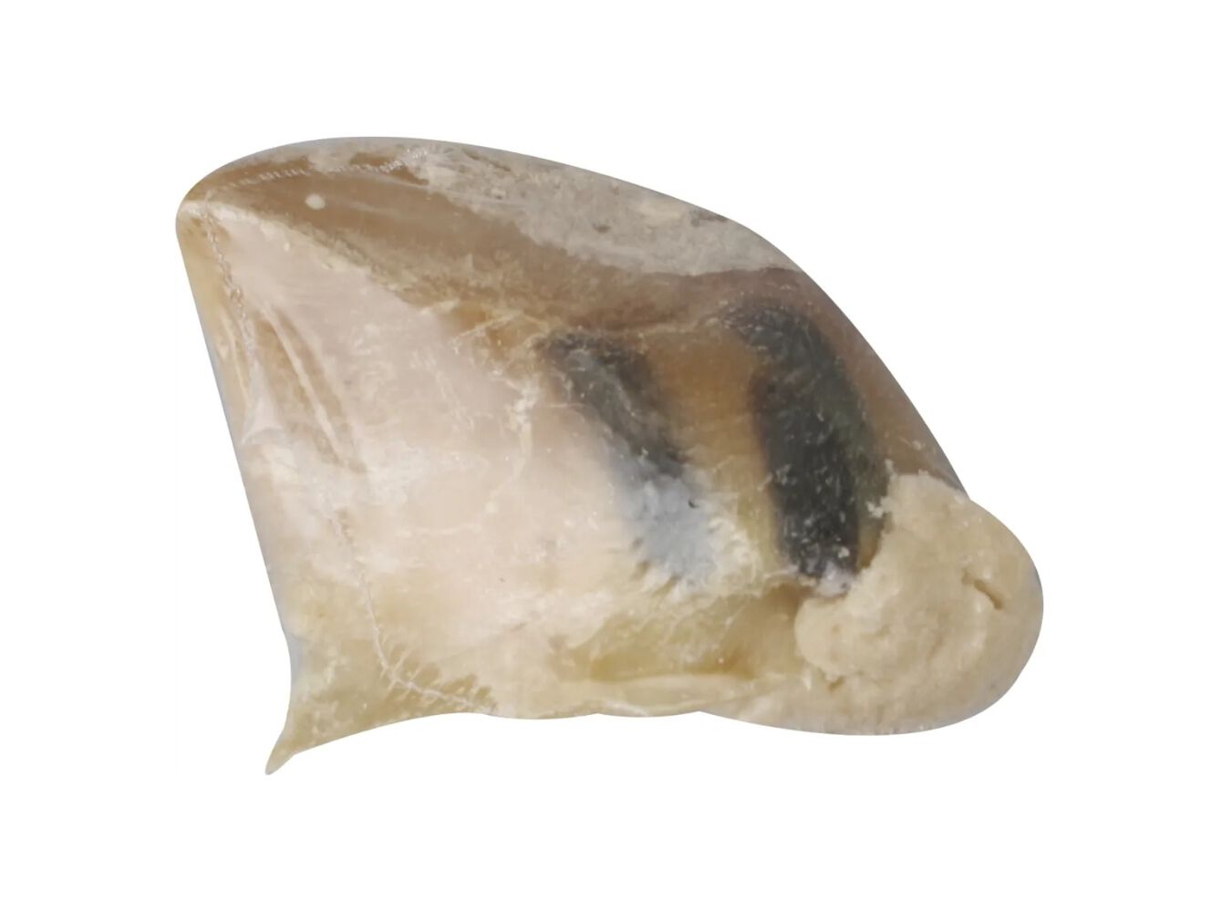 SNACK NATURAL C&Atilde;O FLAMINGO CASCO VEADO RECHEADO 60G image number 1