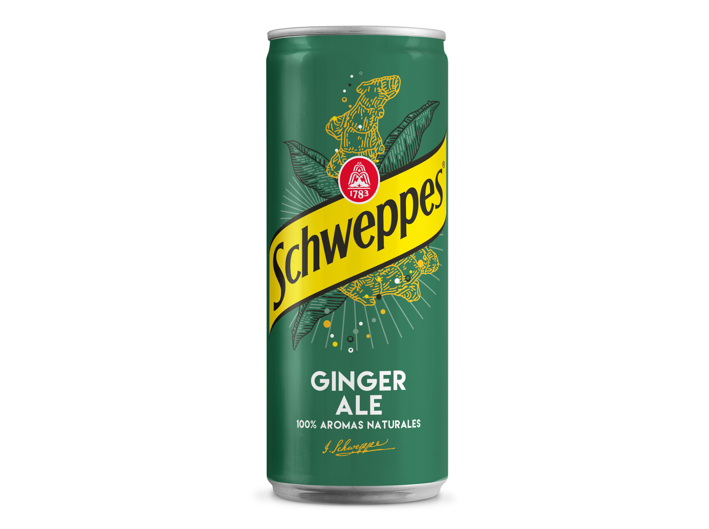 GINGER ALE SCHWEPPES LATA 0.33L (SDR)