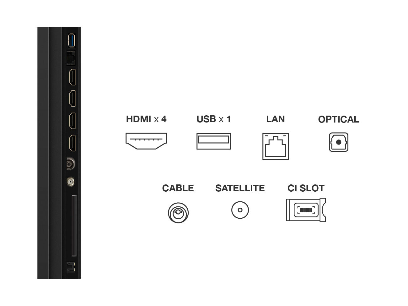 TV QLED TCL 98P8K 98" 4K SMT GOOGLE TV image number 3