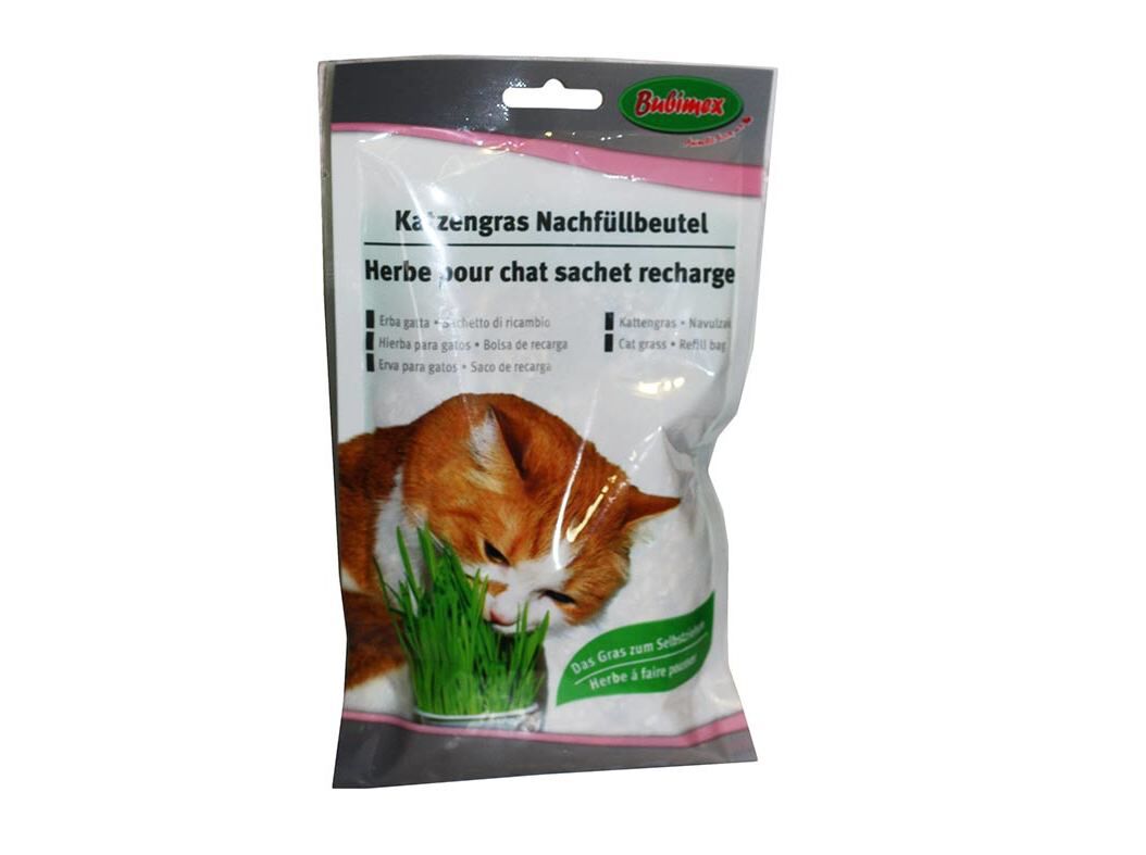 RECARGA ERVA P/GATOS BUBIMEX 100G