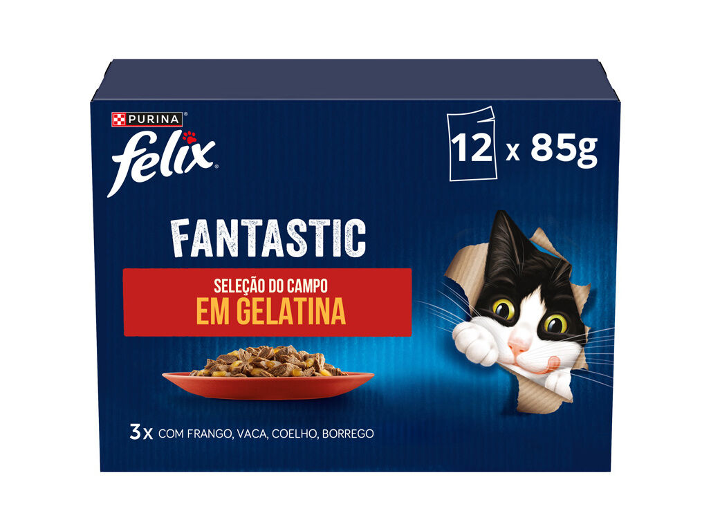 COMIDA H&Uacute;MIDA PARA GATO FELIX FANTASTIC CARNE 12X85G image number 0