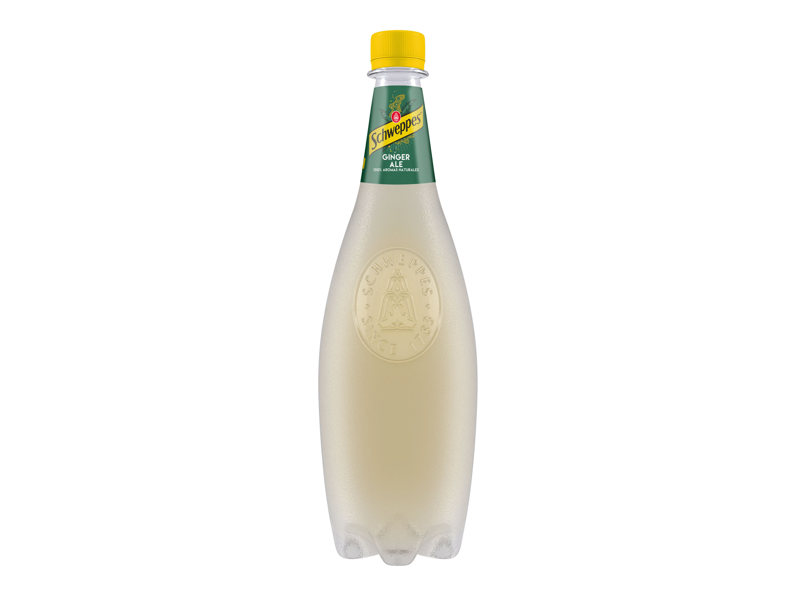GINGER ALE SCHWEPPES 1L (SDR)