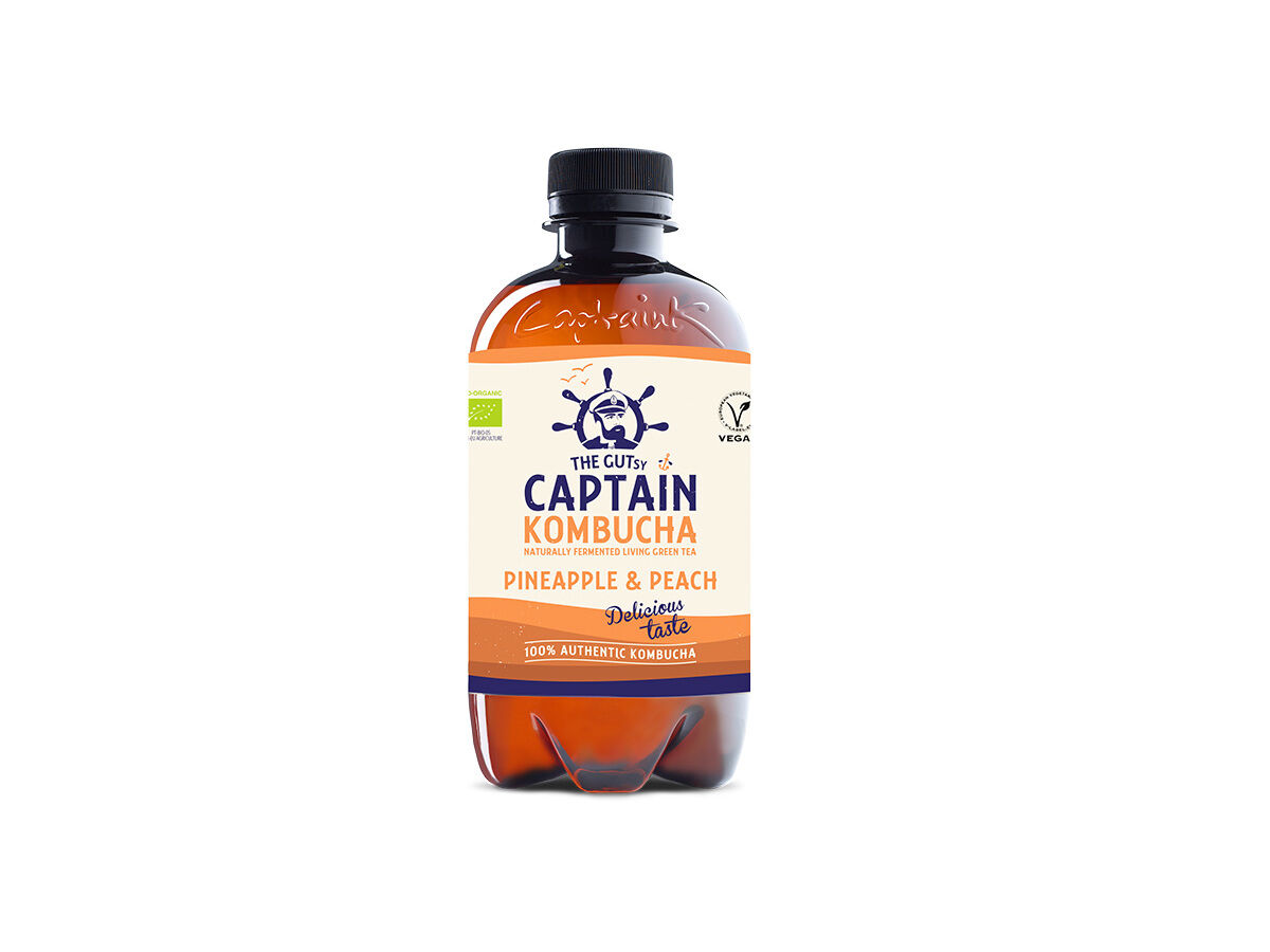 KOMBUCHA THE GUTSY CAPTAIN ANAN&Aacute;S BIO 400ML (SDR) image number 0