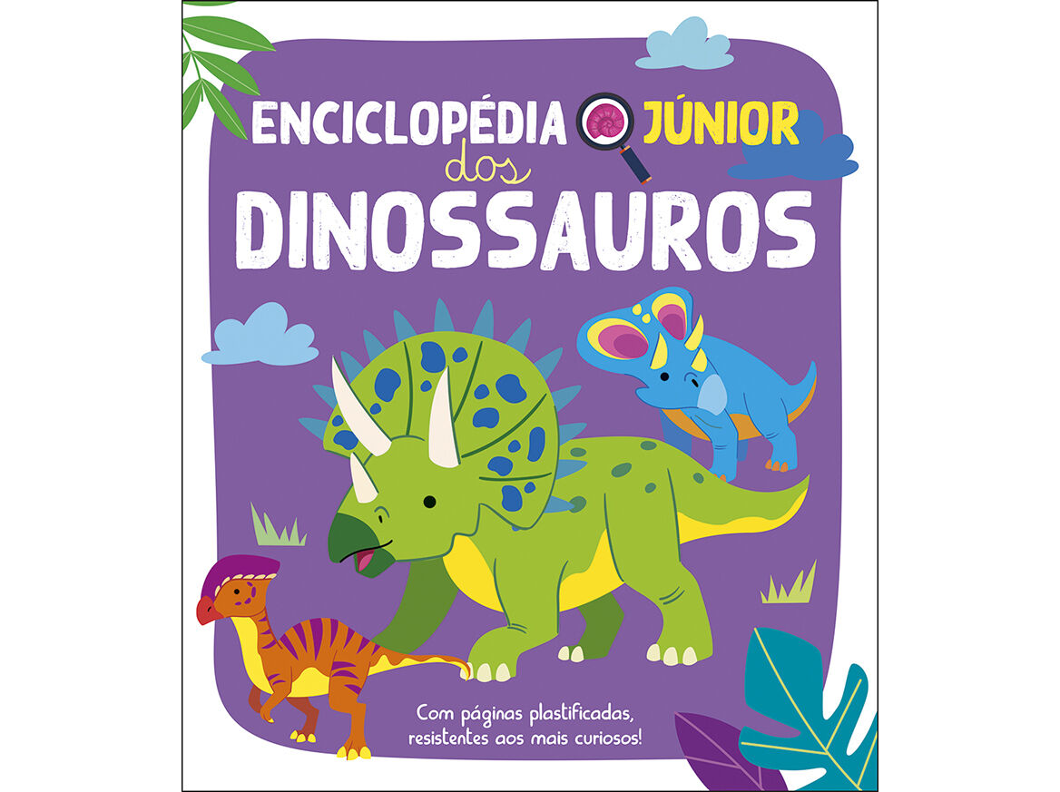 LIVRO ENCICLOP&Eacute;DIA J&Uacute;NIOR DOS image number 0