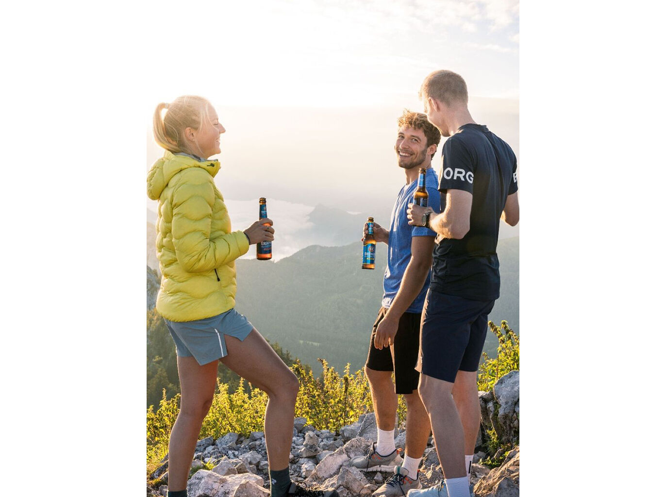 CERVEJA ERDINGER SEM &Aacute;LCOOL 0.50L image number 1