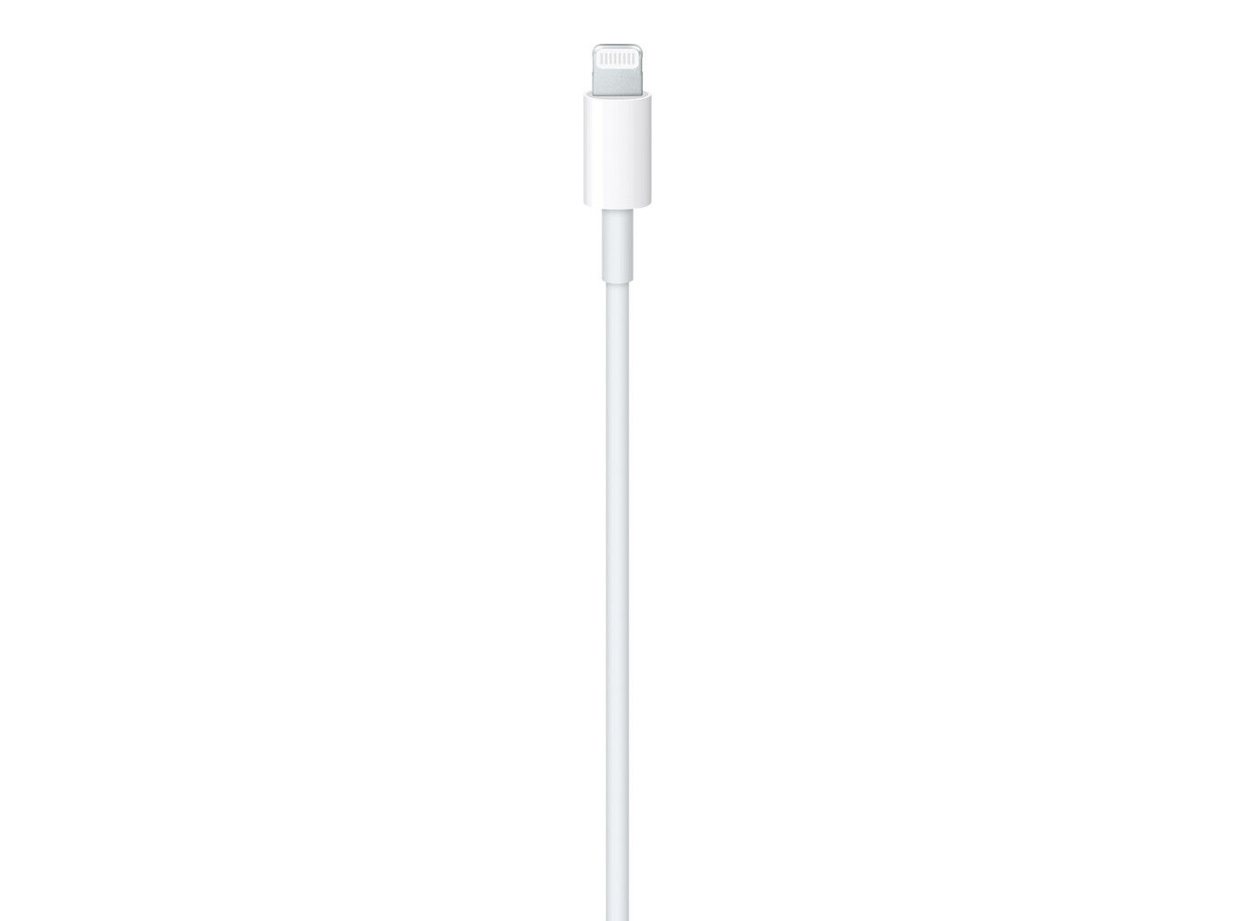 CABO LIGHTNING APPLE MUQ93ZM/A USB-C 1 M image number 1