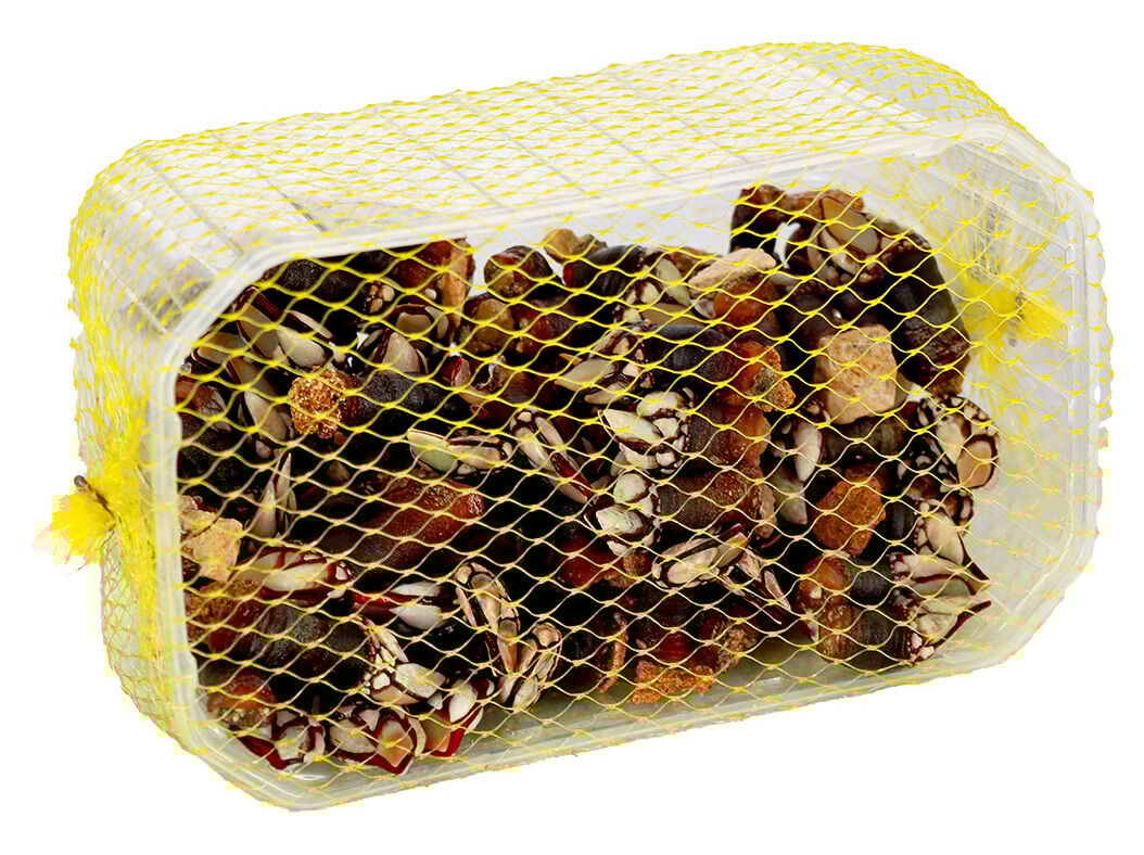 PERCEBES FRESCOS 500 GR