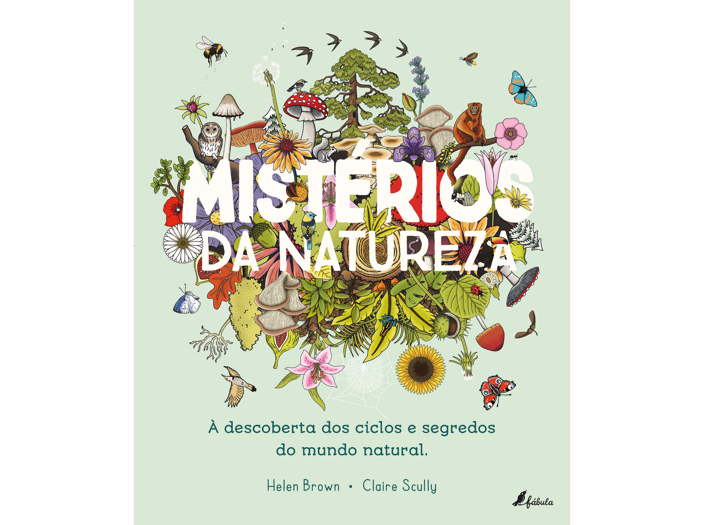 LIVRO MIST&Eacute;RIOS DA NATUREZA: &Agrave; DESCOBERTA DOS CICLOS E SEGR image number 0