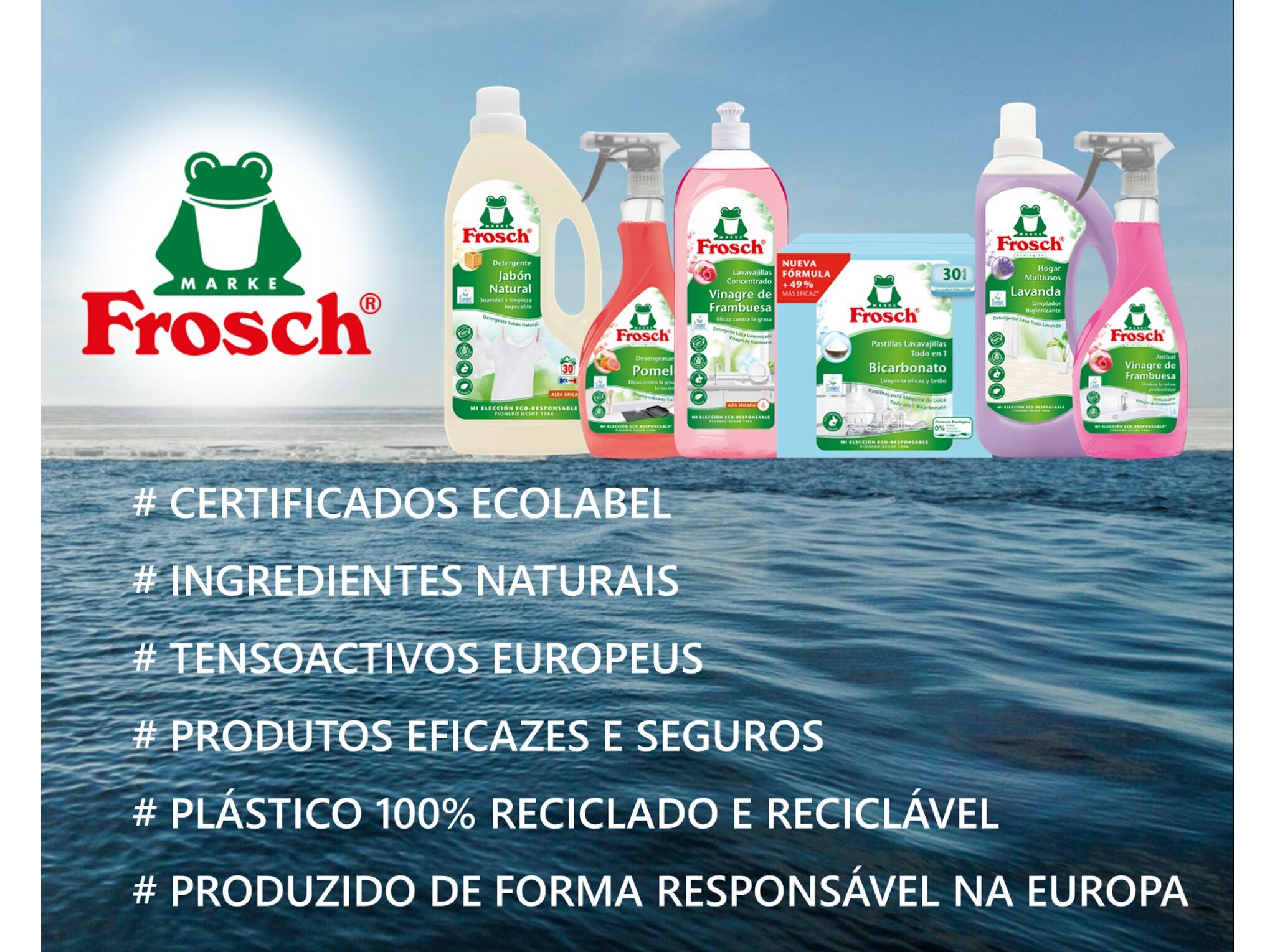 LIMPEZA COZINHA FROSCH DESENGORDURANTE TORANJA 500ML image number 4